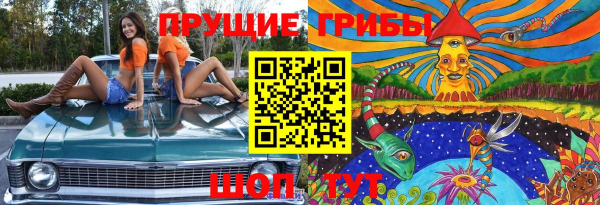 Новый Уренгой  Псилоцибиновые грибы GOLDEN TEACHER  Галлюциногенные грибы GOLDEN TEACHER  хочу наркоту  Вход с VPN 